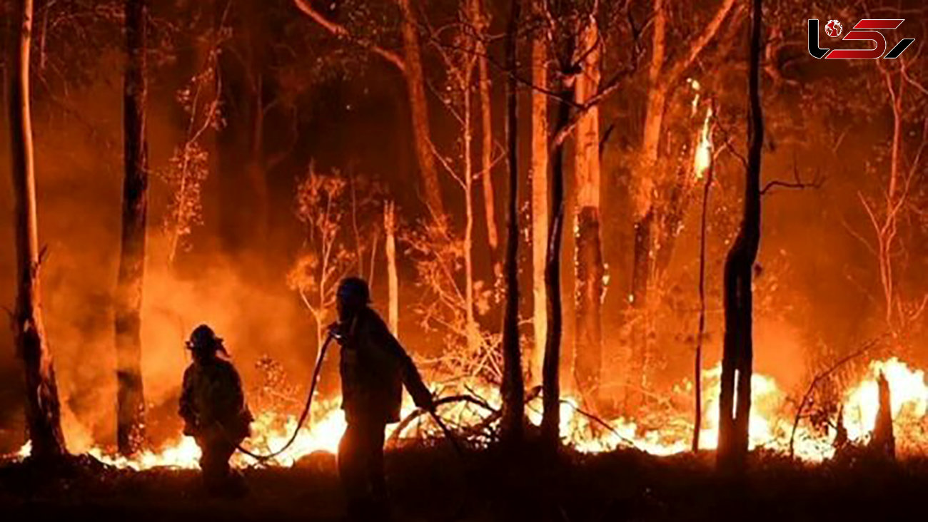 مهار آتش سوزی در جنگل های هیرکانی منطقه اشکور رحیم آباد