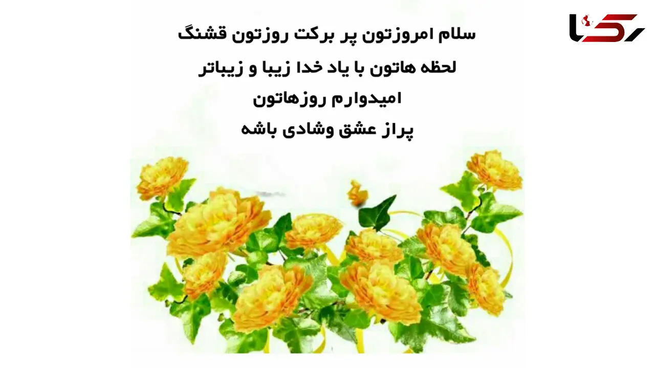 فال روزانه شخصی / 14 فروردین ماه + فیلم