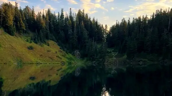 ذهن خود را با افکار مثبت پر کنید