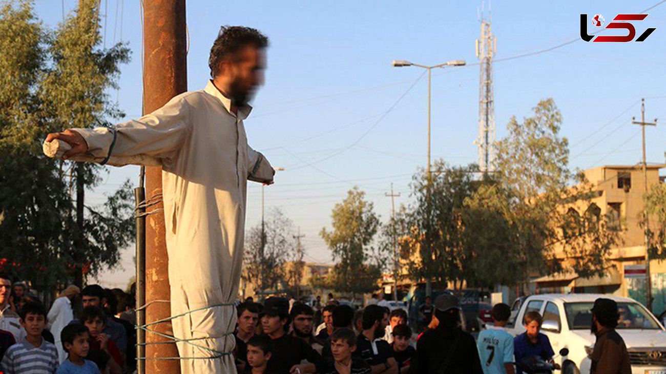 داعش در عراق 4 نفر را به صلیب کشید+تصاویر(+16) 