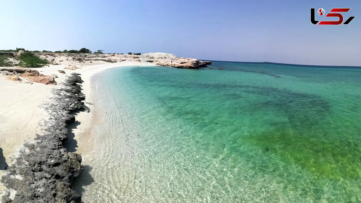 صحنه‌ای که نفس‌ها را می‌گیرد؛ زیبایی طبیعت + فیلم