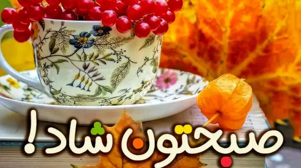 فال و طالع بینی امروز 24 مهر + فیلم 