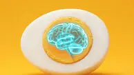 معجزه‌ تخم‌ مرغ برای فرار از آلزایمر!