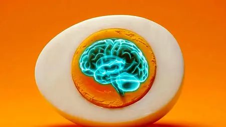 معجزه‌ تخم‌ مرغ برای فرار از آلزایمر!