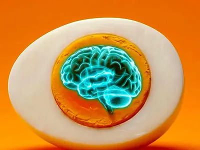 معجزه‌ تخم‌ مرغ برای فرار از آلزایمر!