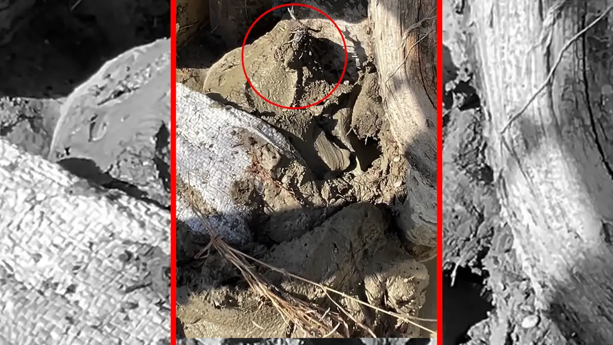 صدای مردم از روستای مهرگی از دل سیل: کمک!