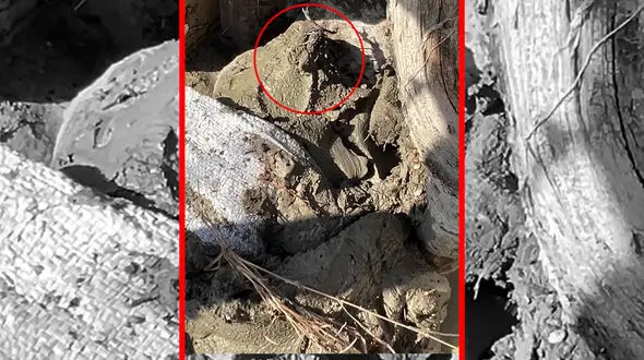 صدای مردم از روستای مهرگی از دل سیل: کمک! + فیلم