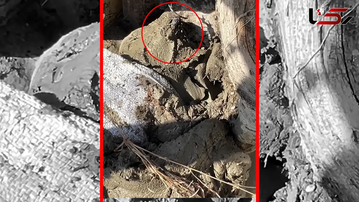 صدای مردم از روستای مهرگی از دل سیل: کمک! + فیلم