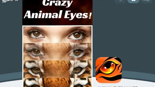 ساخت تصویر کلاژ از چشم انسان و حیوان 