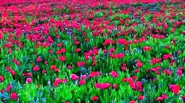 فال ابجد 18 اسفند + فیلم