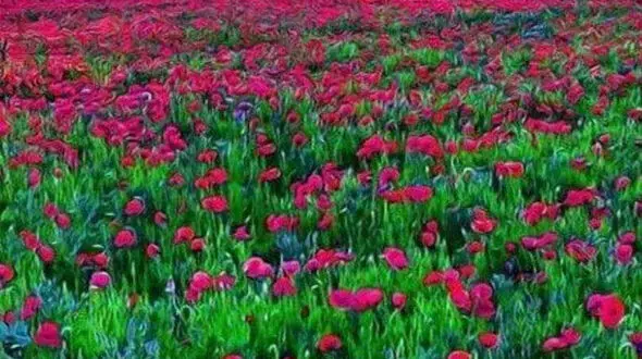 فال چای 28 اسفند ماه / فیلم