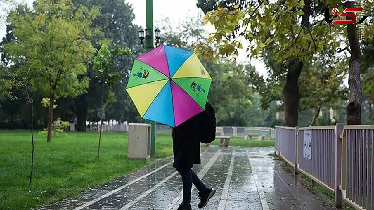  افزایش ۱۰ تا ۱۵ درصدی کرایه تاکسی‌های پایتخت در زمان باران و برف