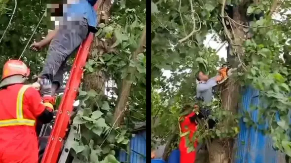 فیلم/ مرگ تلخ مرد شمالی بر اثر برق‌گرفتگی با کابل فشار قوی / در بندرانزلی رخ داد