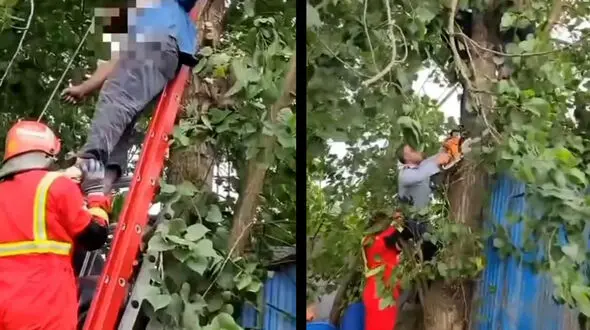 فیلم/ مرگ تلخ مرد شمالی بر اثر برق‌گرفتگی با کابل فشار قوی / در بندرانزلی رخ داد