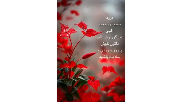 فال روزانه 12 اردیبهشت + فیلم