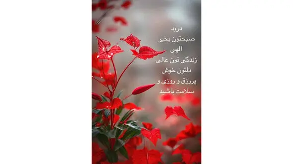 فال روزانه 12 اردیبهشت + فیلم