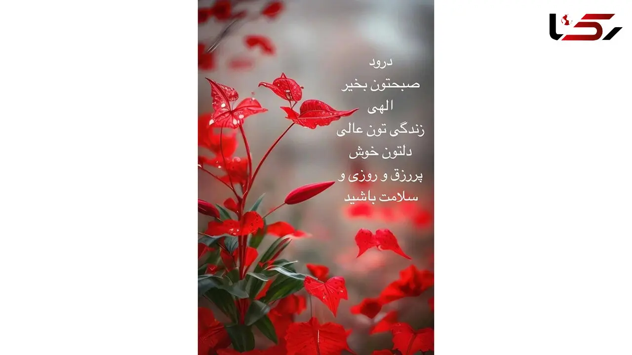 فال روزانه 12 اردیبهشت + فیلم