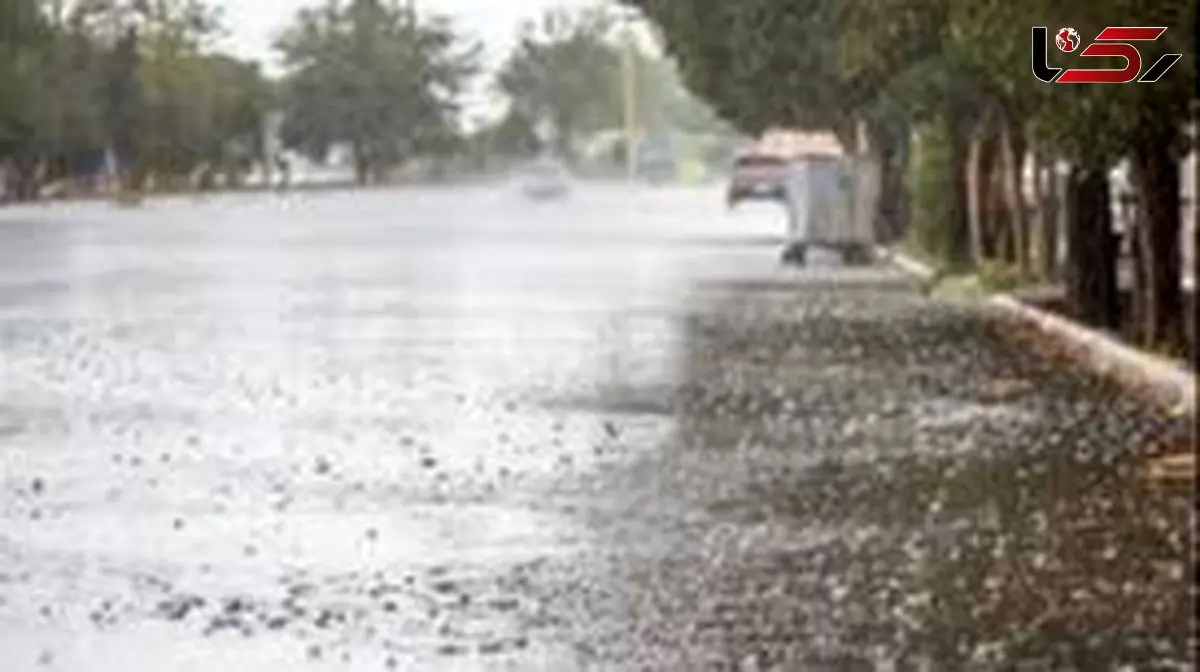 طغیان رودخانه، توقف تردد دریایی، انسداد محورها و لغو پرواز‌ها + فیلم