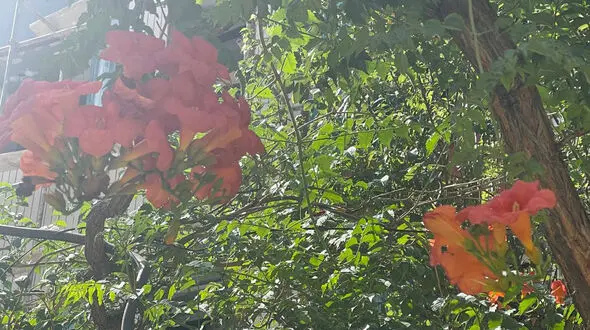 فال و طالع بینی روزانه 28 تیر + فیلم 