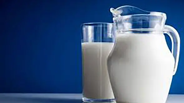 شیر و لبنیات دشمن درجه یک فشار خون 