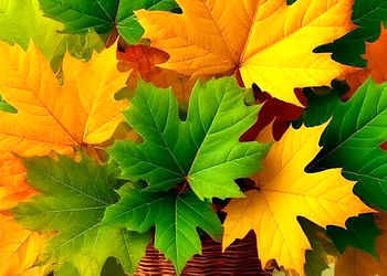 فال و طالع بینی امروز 3 مهر