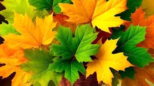 فال ابجد امروز 24 اسفند 1404