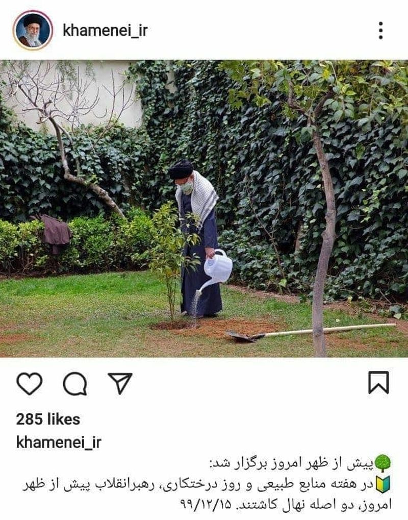 رهبر انقلاب روز درختکاری