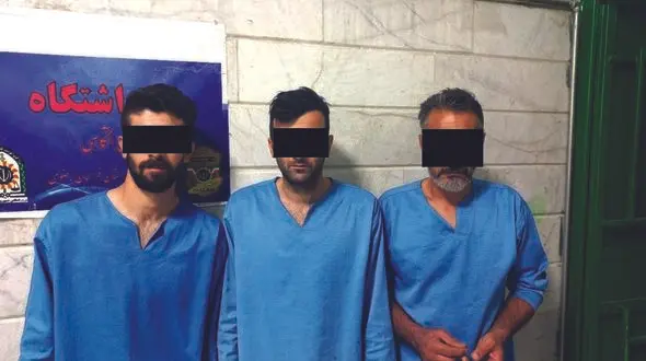 آپارتمان های تک واحدی در تیررس دزدان طلا! + عکس و جزئیات سرقت ها