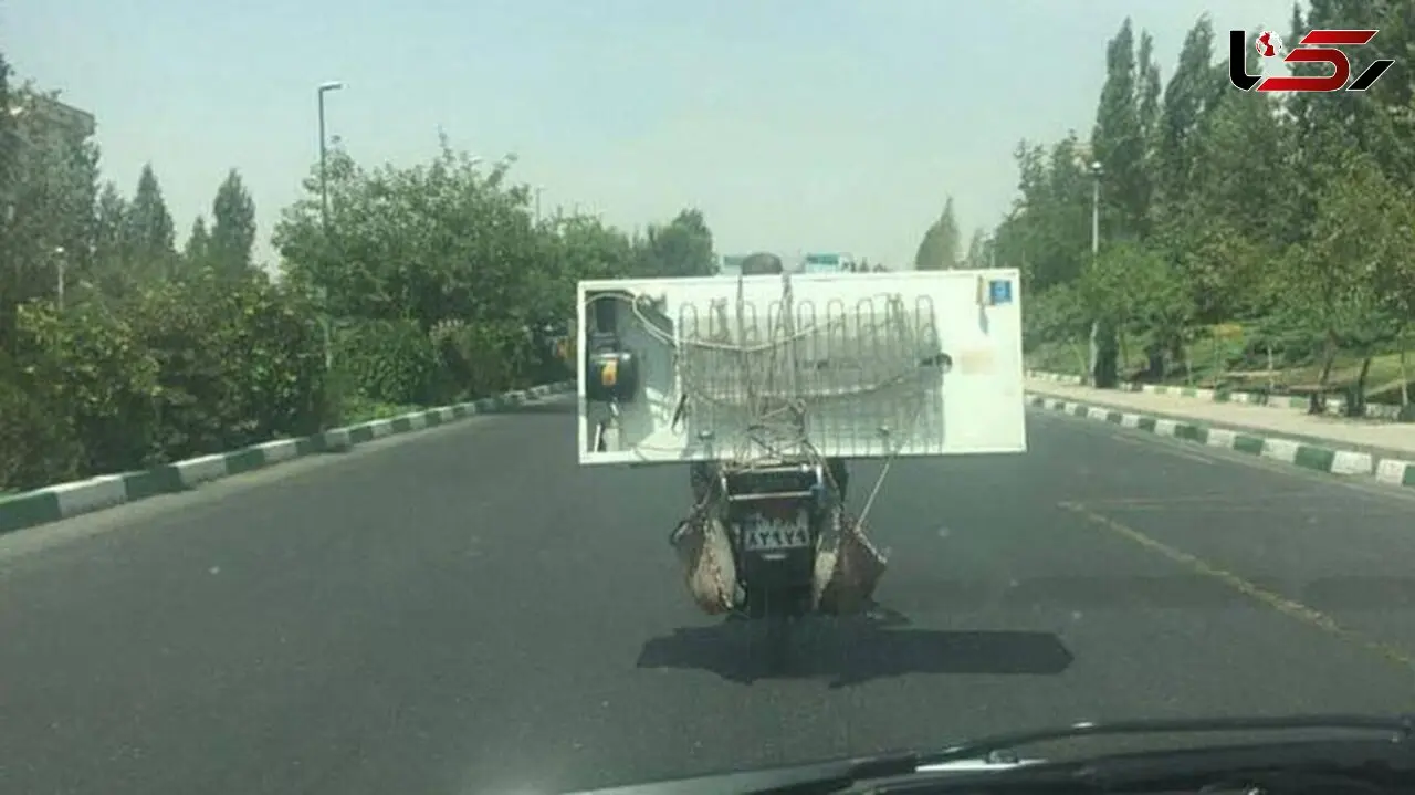 حمل یخچال با موتور +عکس
