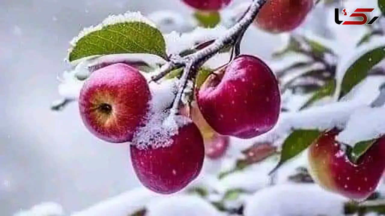 فال و طالع بینی روزانه 7 اسفند + فیلم