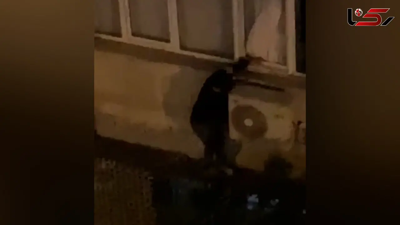 فیلم صحنه ورود و خروج یک دزد پنجره رو داخل خانه ای در تهران/ همسایه فقط فیلم گرفت به پلیس خبر نداد!