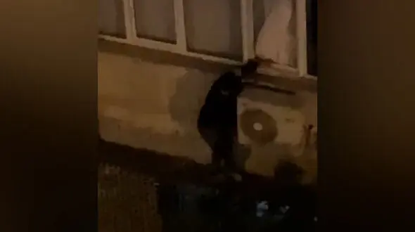 فیلم صحنه ورود و خروج یک دزد پنجره رو داخل خانه ای در تهران/ همسایه فقط فیلم گرفت به پلیس خبر نداد!