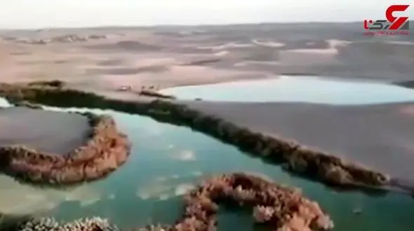 تالابی در قلب کویر که منظره ای منحصربه فرد ایجاد کرده است + فیلم 