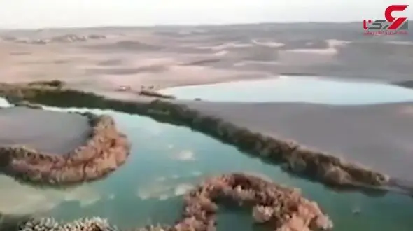 تالابی در قلب کویر که منظره ای منحصربه فرد ایجاد کرده است + فیلم 