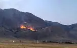 فرمانده یگان حفاظت منابع طبیعی کشور:  18 هزار هکتار مراتع دچار آتش سوزی شده است/در 2 سال گذشته هیچ تجهیزاتی برای اطفای حریق  تهیه نشده است