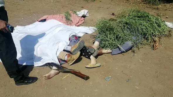 داماد عصبانی در سقز دست به قتل عام خانوادگی زد / عکس 14+