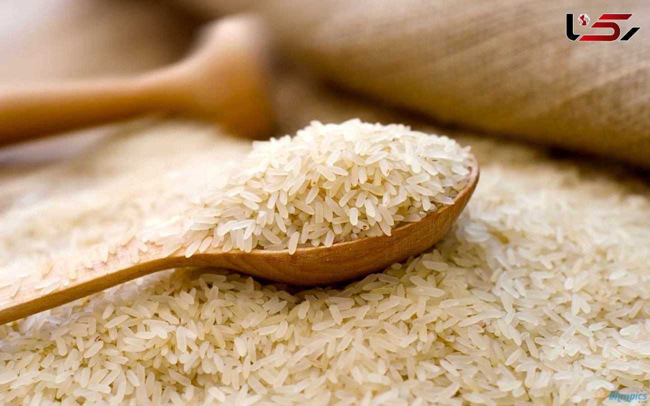 برنج 20 درصد گران می‌شود