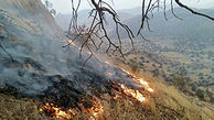 آتش سوزی 1250 هکتار از مراتع قم