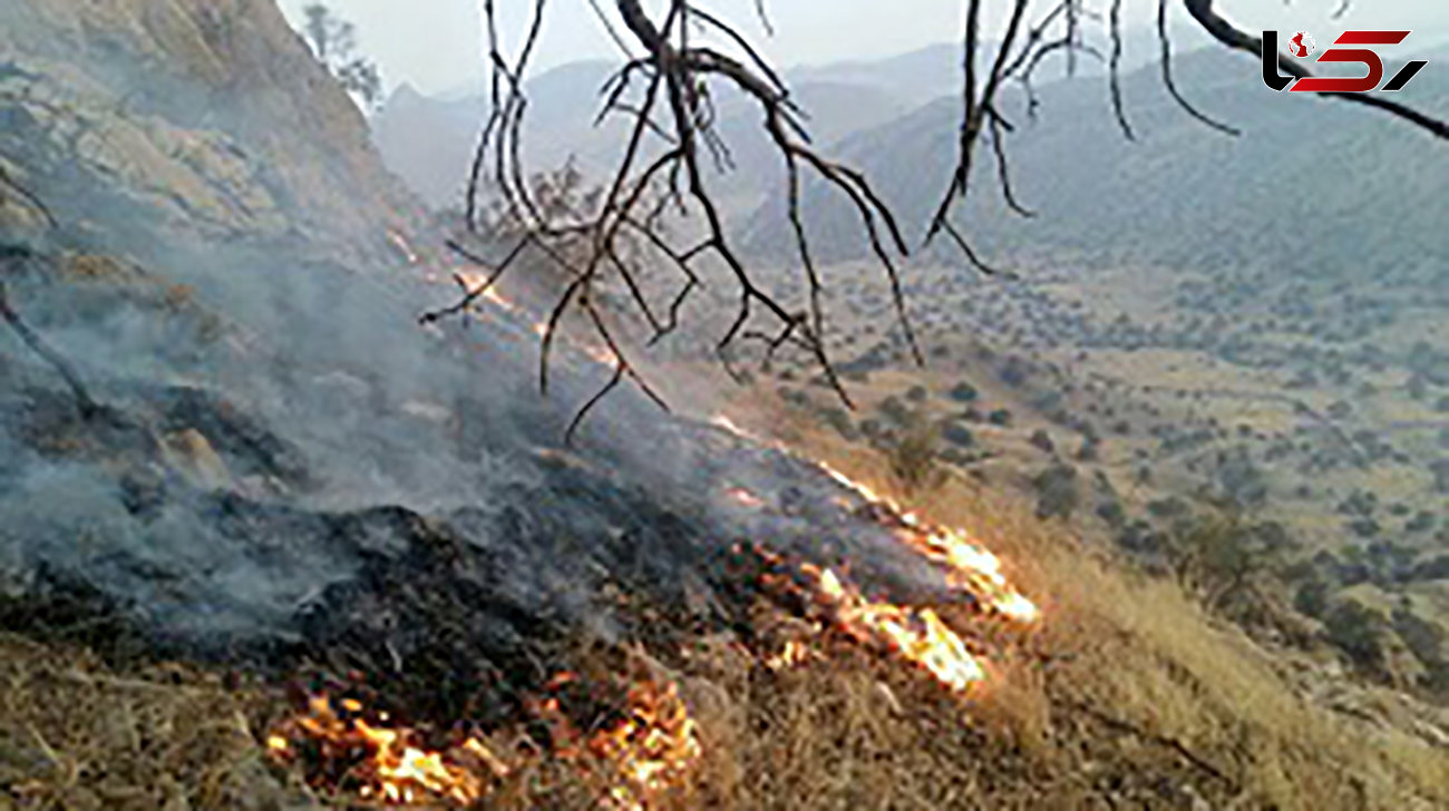 آتش سوزی در ارتفاعات جنگلی بخش دهدز
