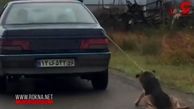 مرد حیوان آزار در شفت دستگیر شد / این مرد سگ را با خودرویش در خیابان می‌کشاند +فیلم 