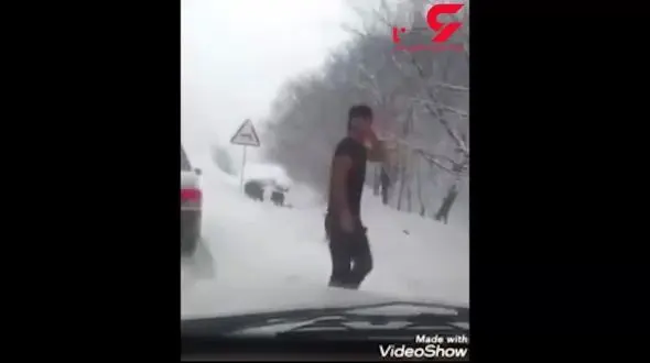 فیلم لحظه هجوم گرازهای گرسنه به حاشیه جاده جنگلی شمال