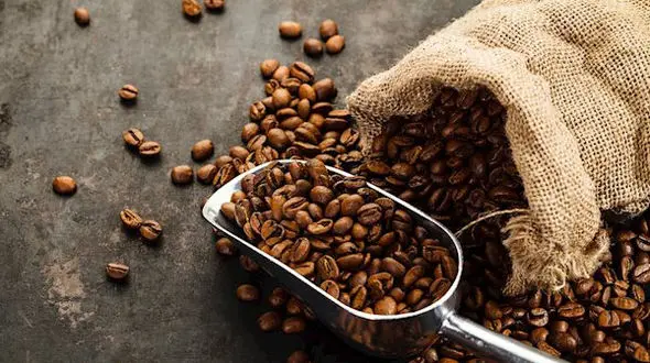 تولید قهوه در کافی شاپ با طعم سوسک! + فیلم 