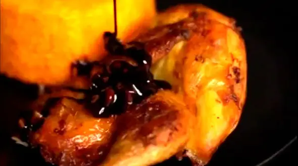 از اکبر جوجه تا ساندویچ مرغ لذیذ