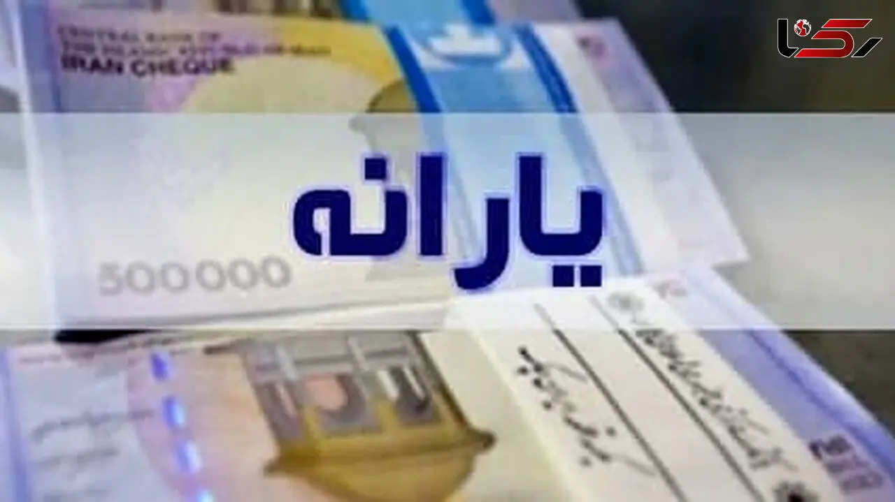 یارانه جدید دولت امسال در راه است! + جزییات