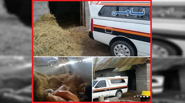 انتشار عکس جنازه مرد گیلانی در انبار کاه / قاتل مشت محکمی داشت + جزییات