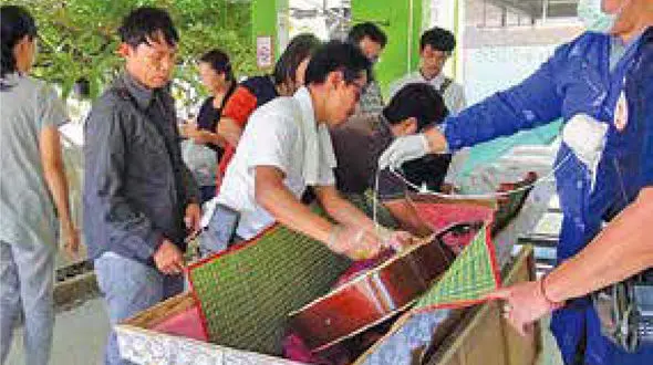 قتل گیتاریست نوجوان +عکس