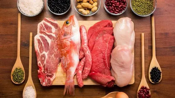 در طول روز چقدر به پروتئین نیاز داریم؟