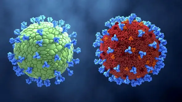 زن ۱۱۶ ساله در ترکیه کرونا را شکست داد