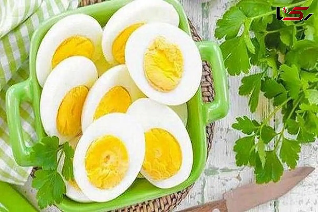 مصرف تخم مرغ در تغذیه نوزادان مهم است