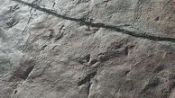 تازه ترین اطلاعات از ردپاهای تازه دایناسورها در ایران / چرا جزئیات این کشف علمی منتشر نشده است؟ 